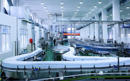 文成娃哈哈 數據驅動，打造省級未來工廠新標桿